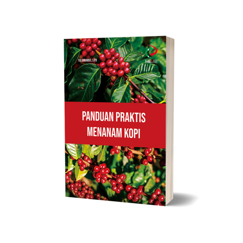 Panduan Praktis Menanam Kopi