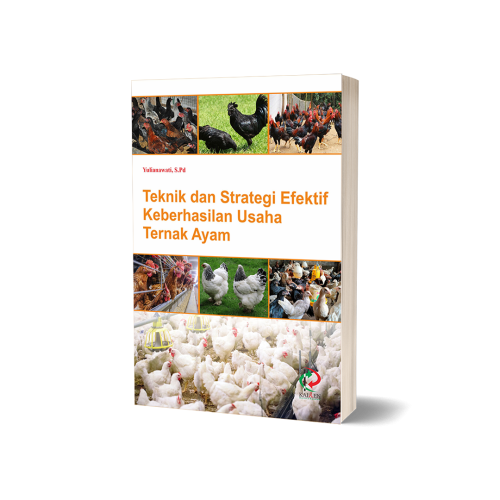 Teknik dan Strategi Efektif Keberhasilan Usaha Ternak Ayam