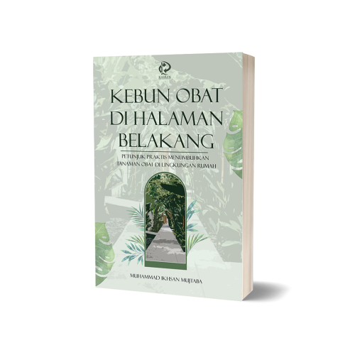 kebun obat di halaman belakang